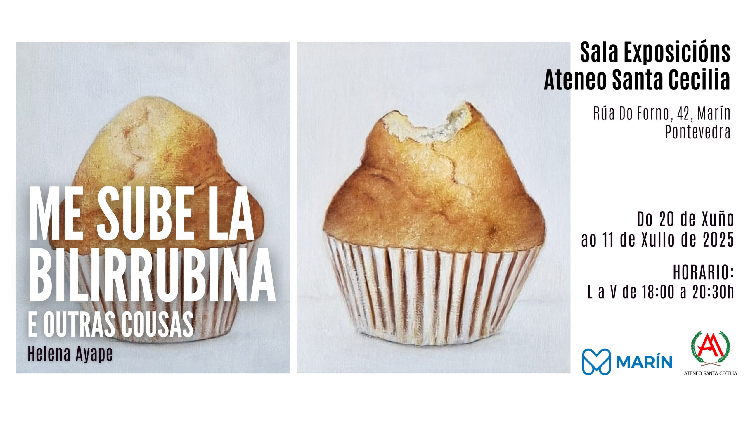 Exposición "Me sube la bilirrubina (e outras cousas)" de Helena Ayape